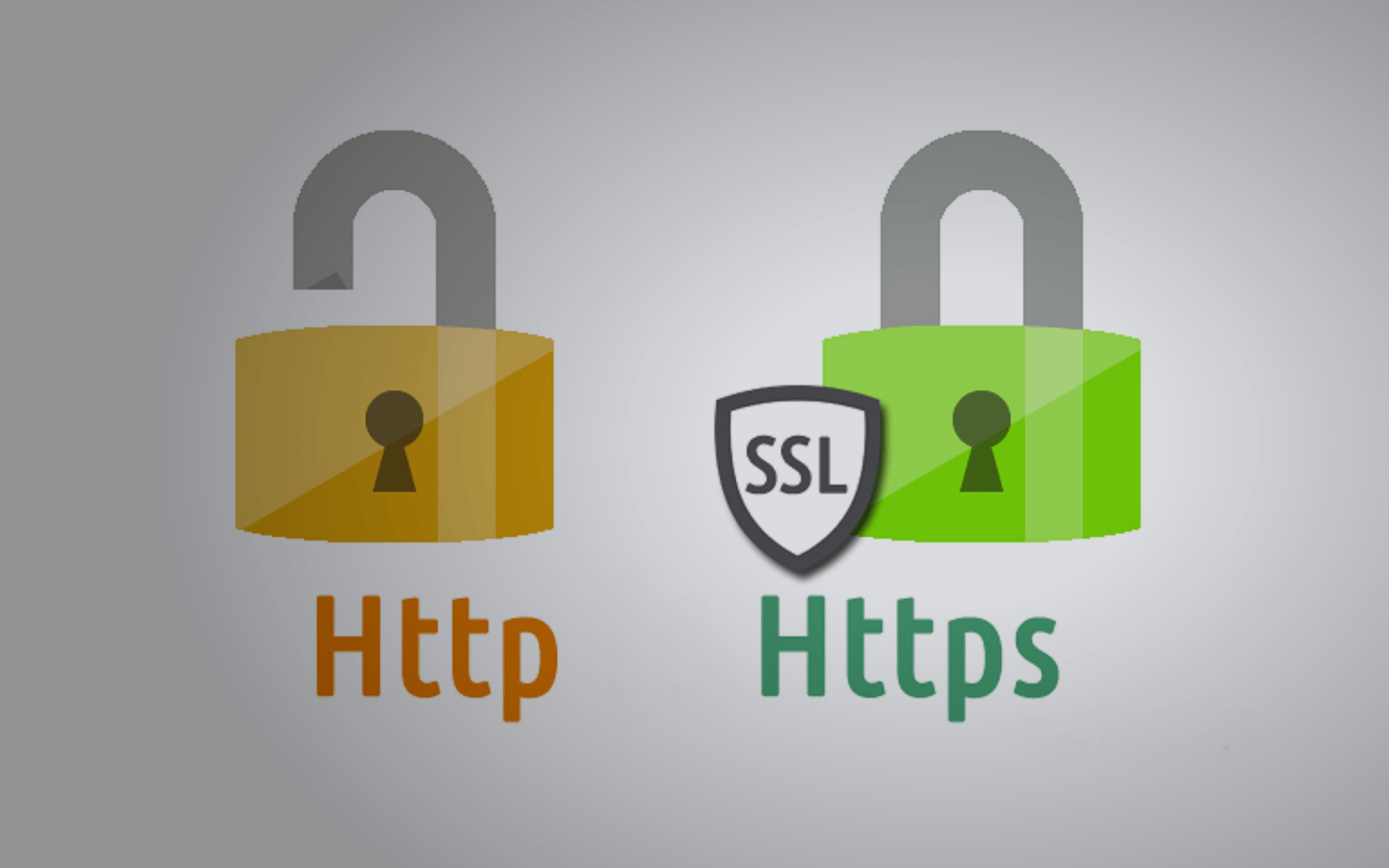 Ssl library