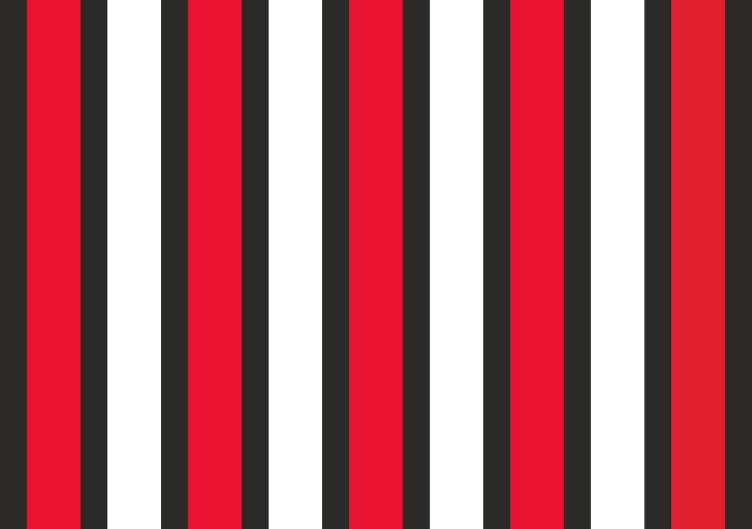 CAQ-identidad-adn_TRICOLOR - BANDAS