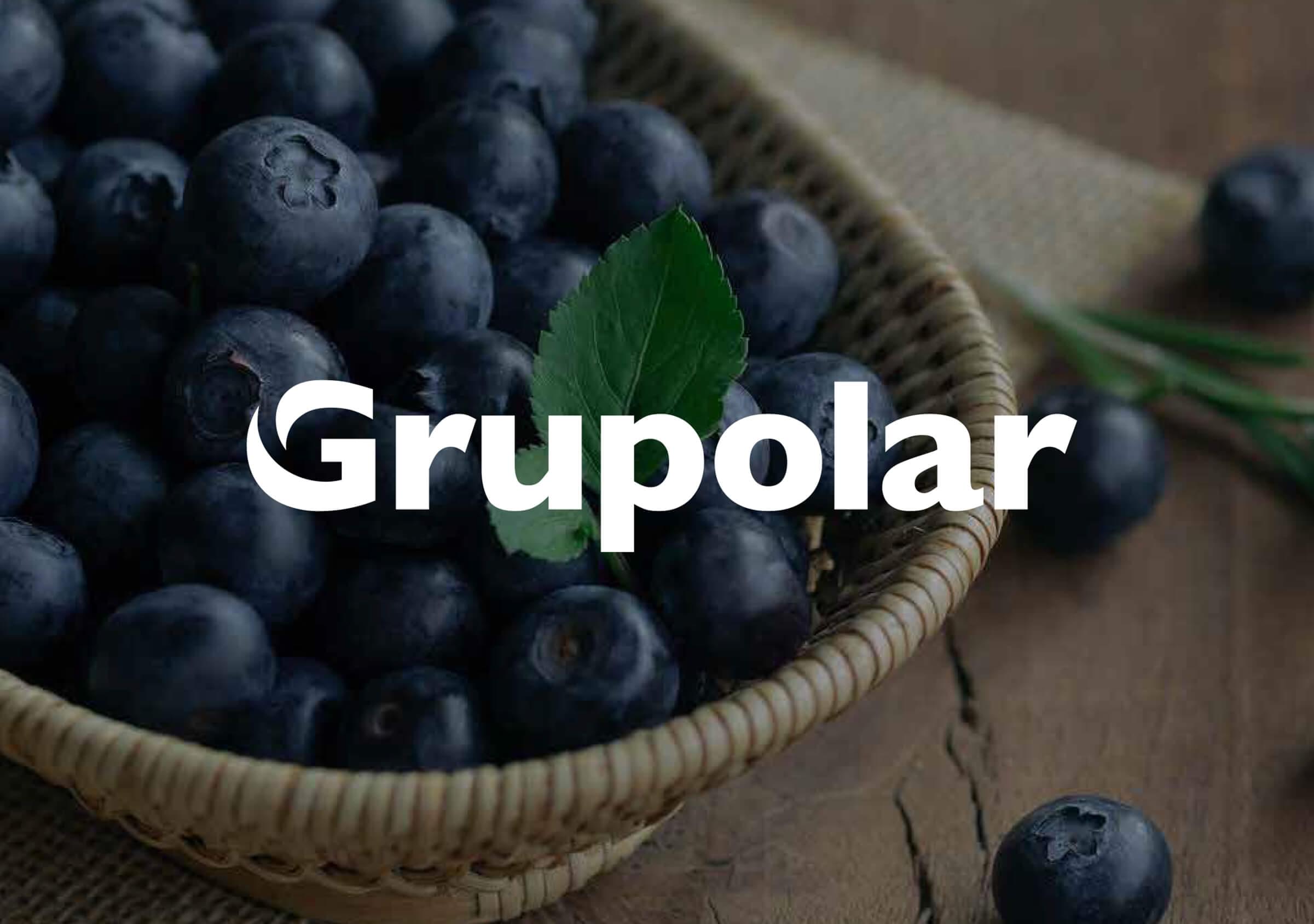 Grupolar-Logotipo-Negativo-Fondo-Fotografía