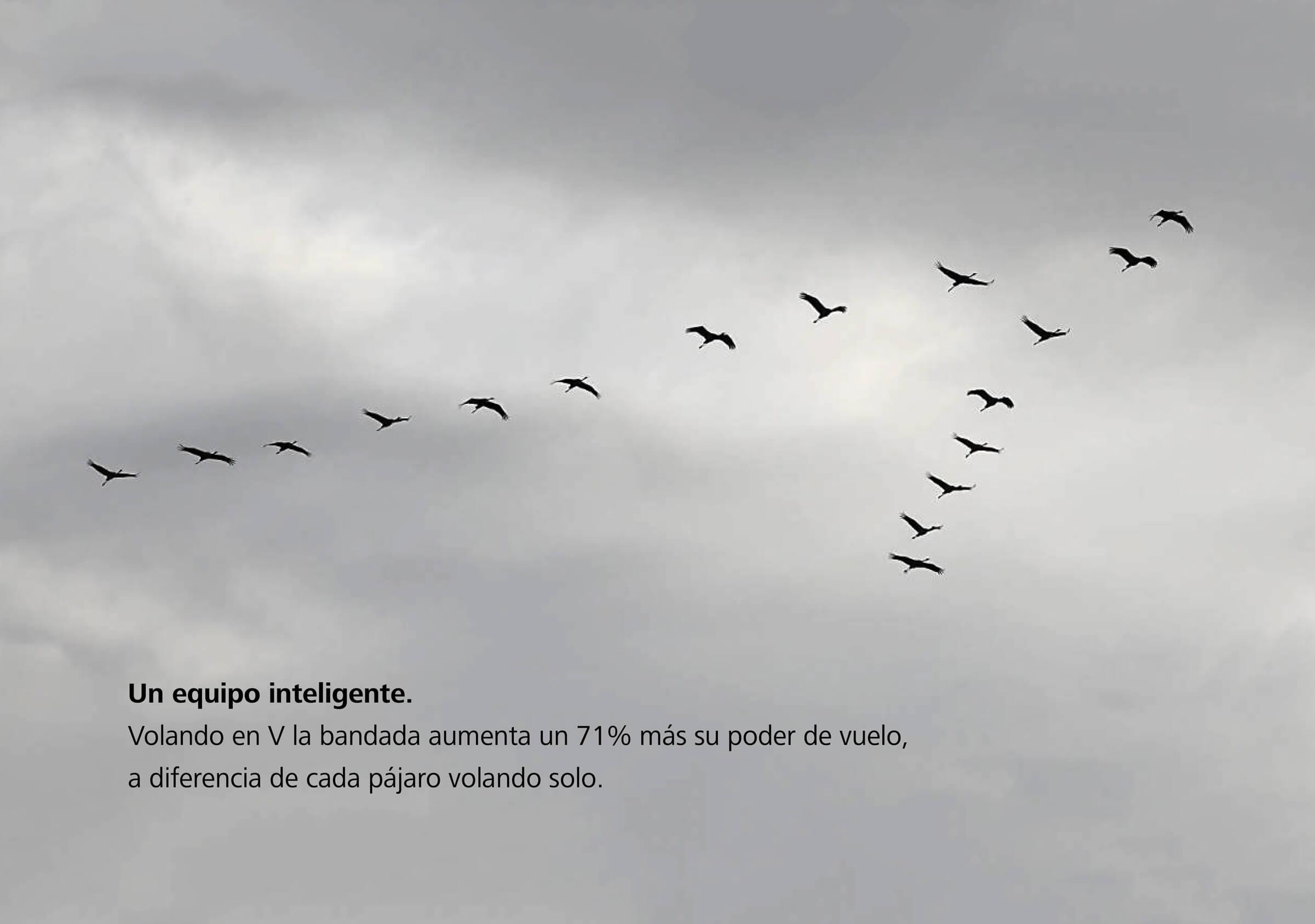 Advancio-Equipo-Esencia