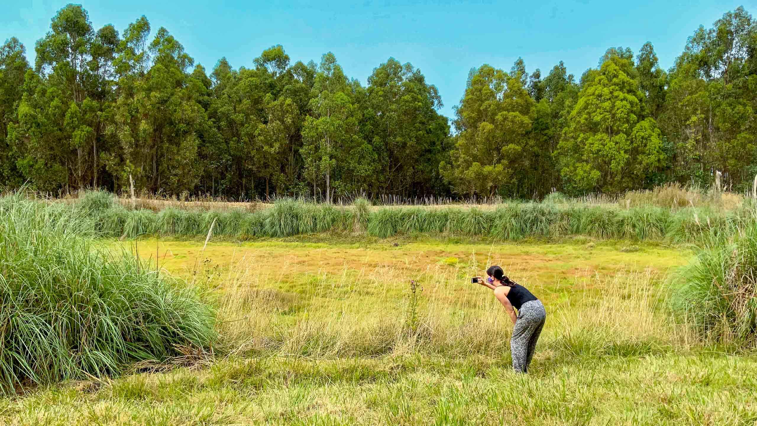 betiana tomando fotos de la naturaleza