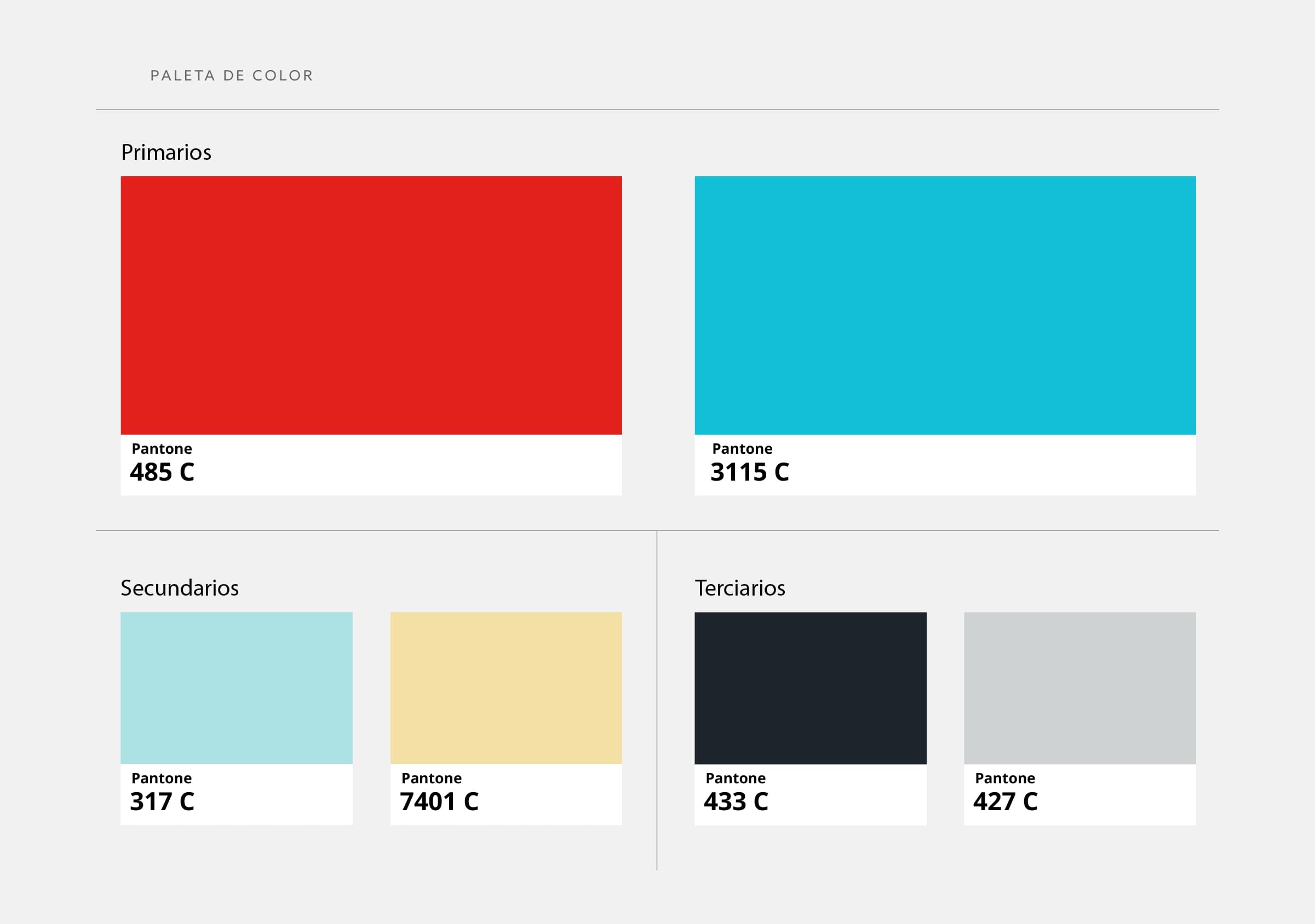 Rebranding-Alta-Paleta de Color