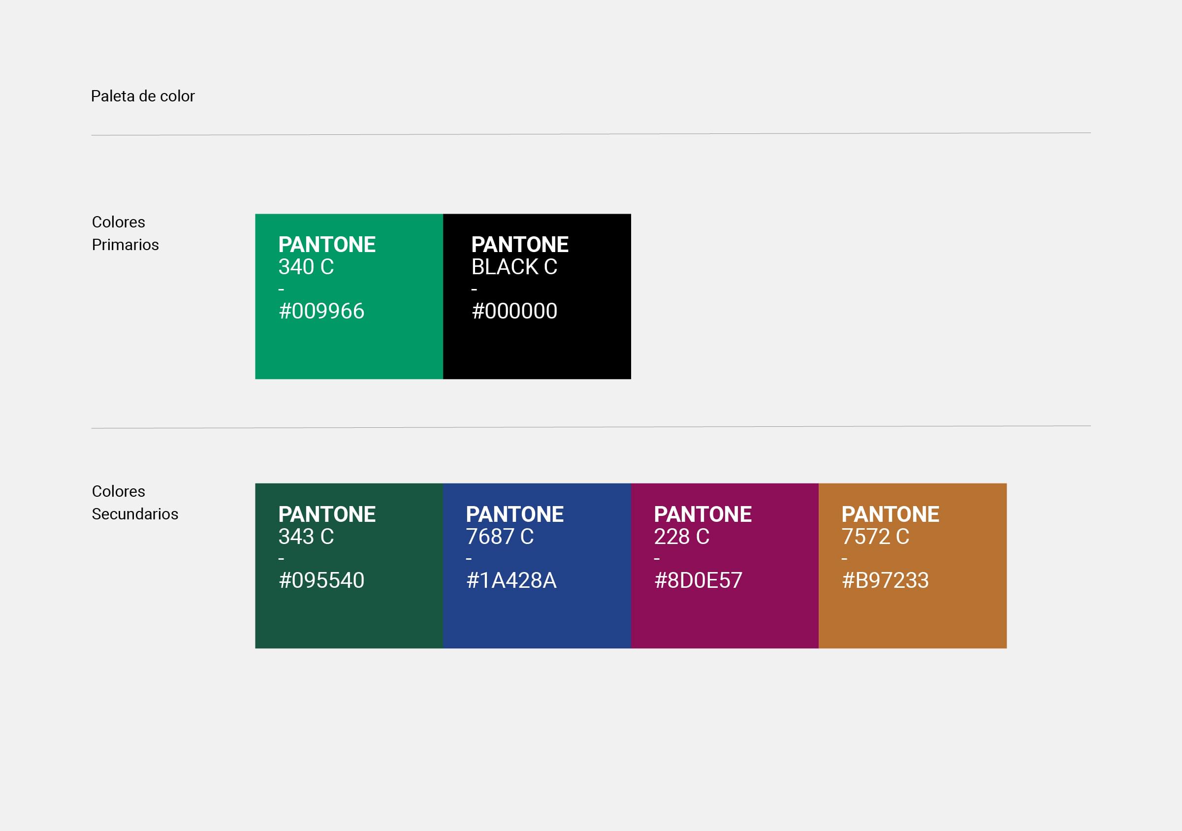 Rebranding-Deltebre Dansa-Paleta de Color