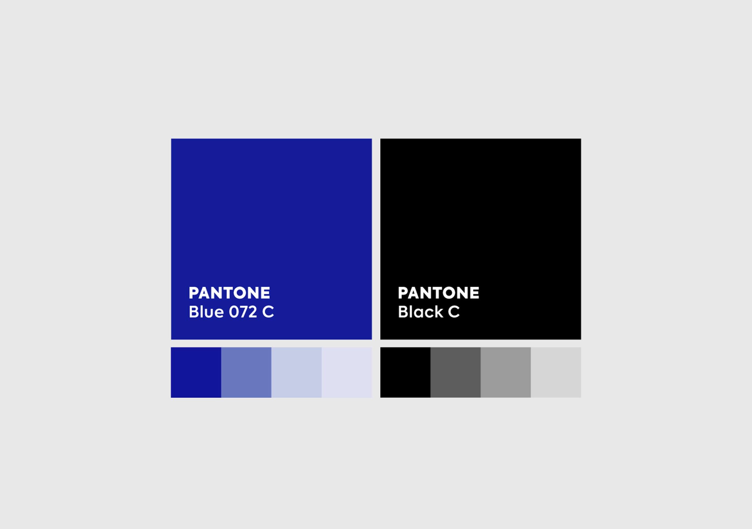 Branding-Mestra-Paleta de Color