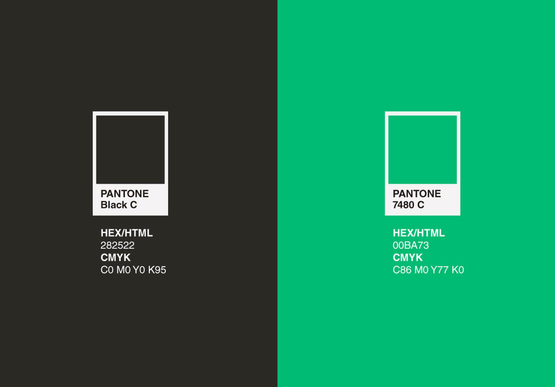Rebranding-Norgreen-Paleta de color