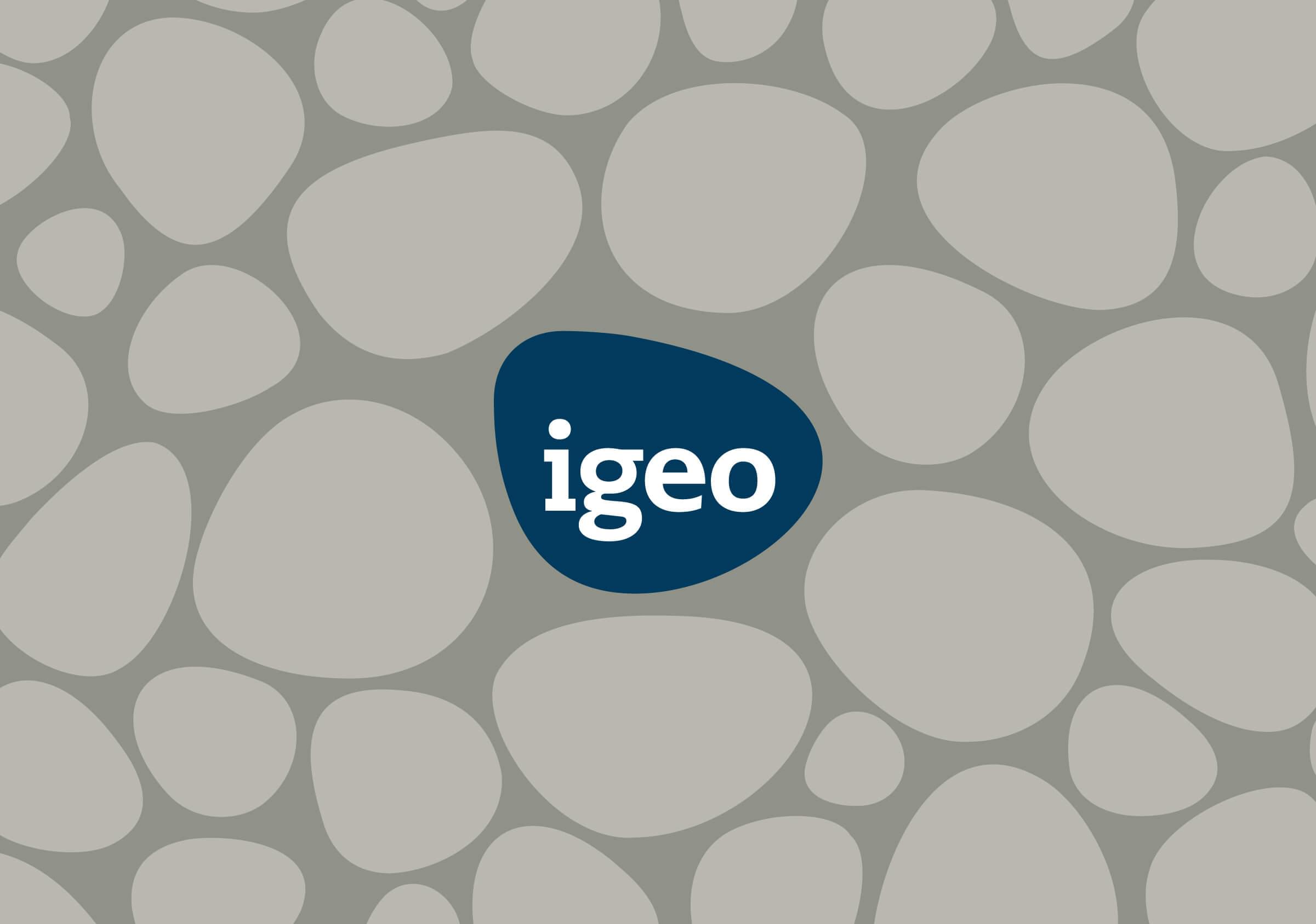 Branding-Igeo-Lenguaje visual