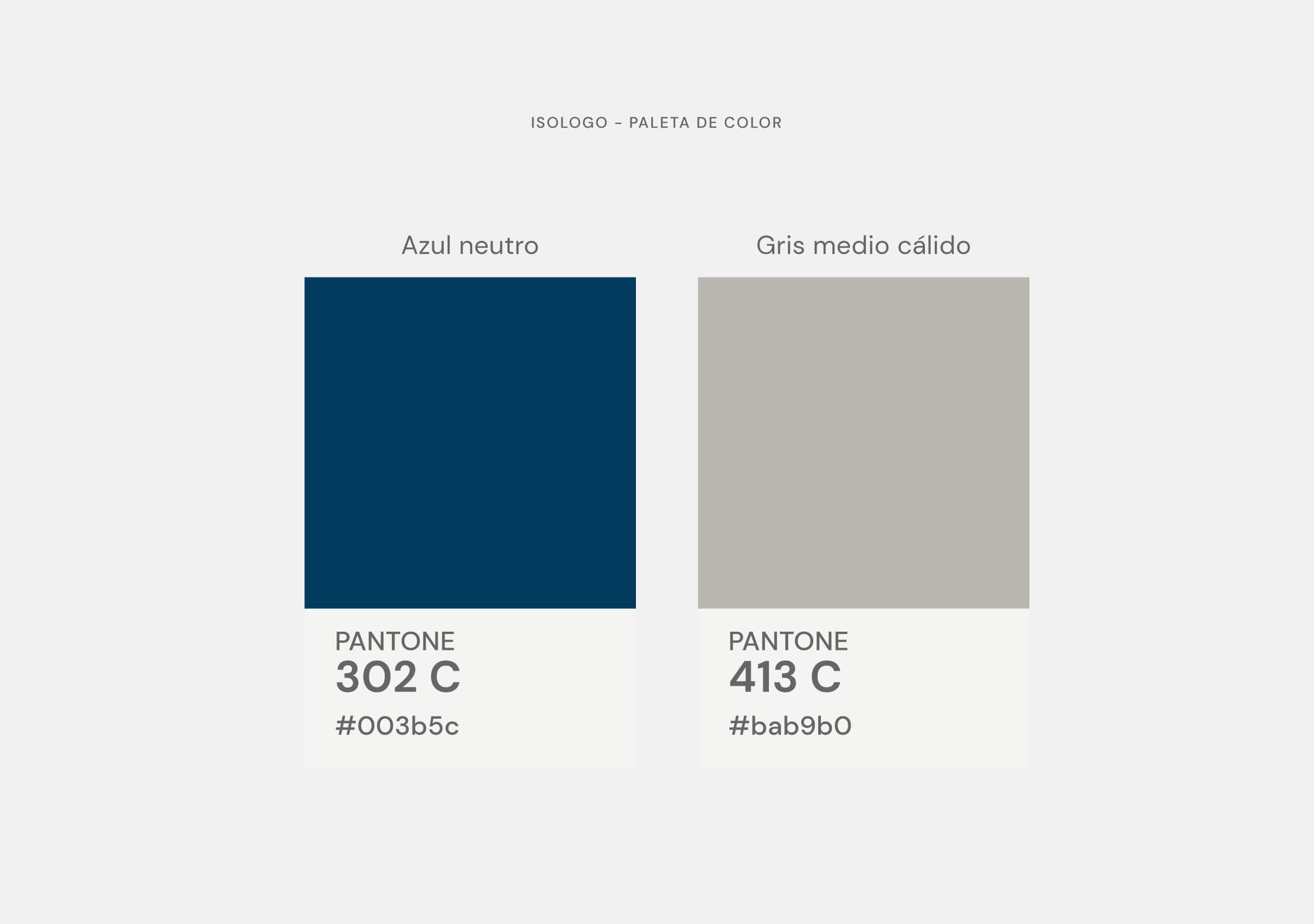 Branding-Igeo-Paleta de color