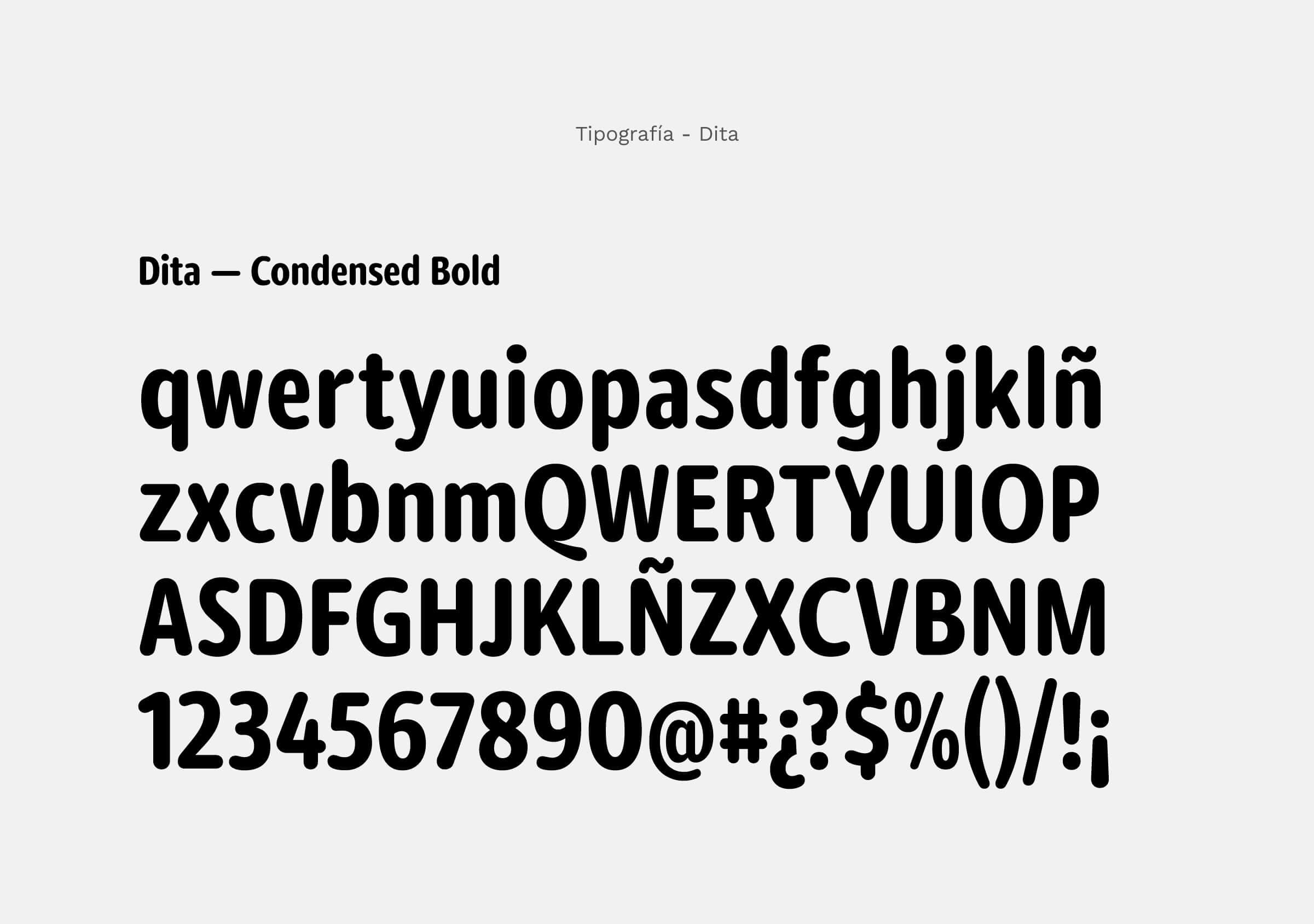Branding-Indiecita-Tipografía-Logotipo-Dita