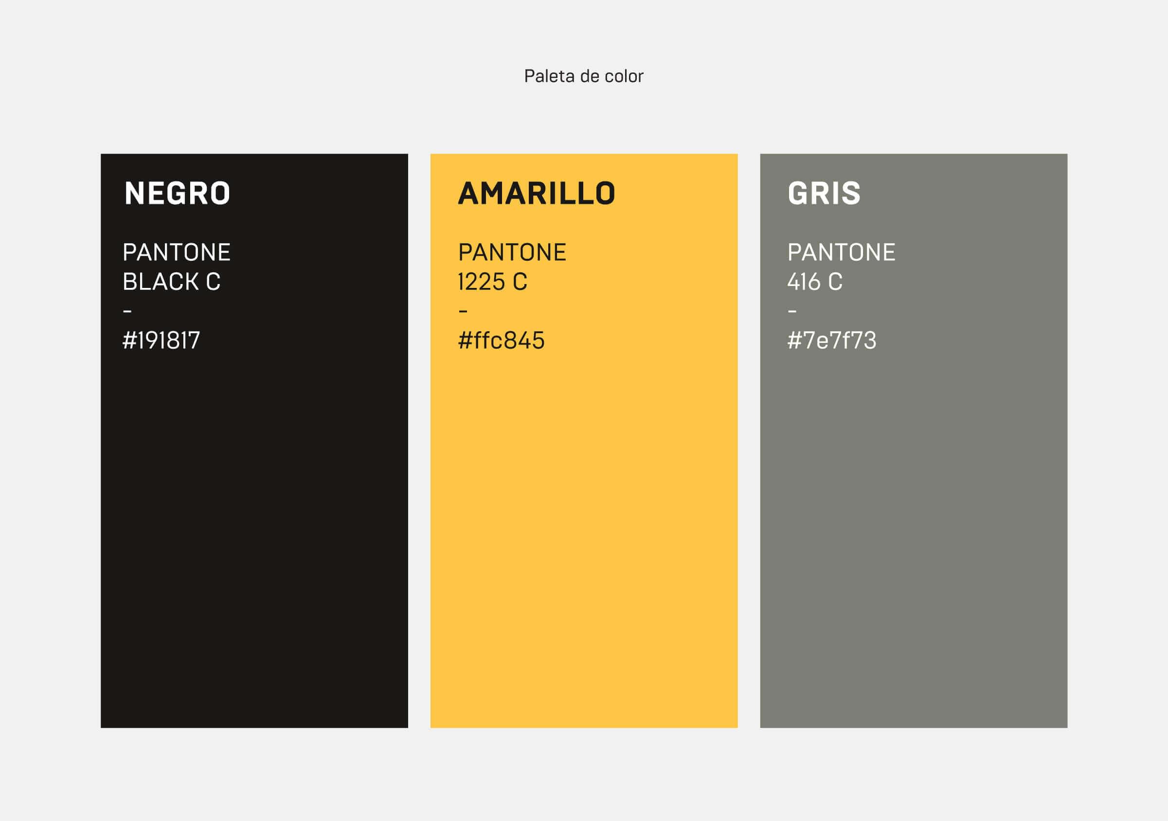 Branding-LineUp-Tipofrafía-Paleta de color
