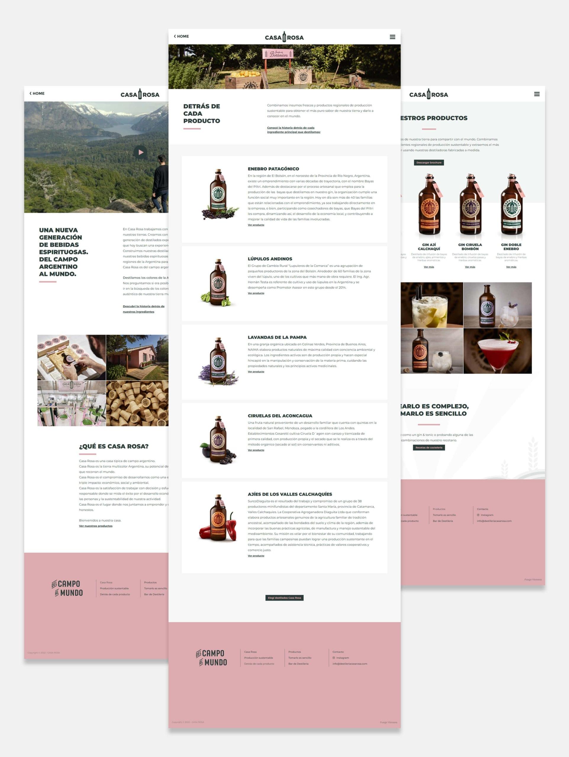 Website-Casa Rosa-Pages Cerveza Baum