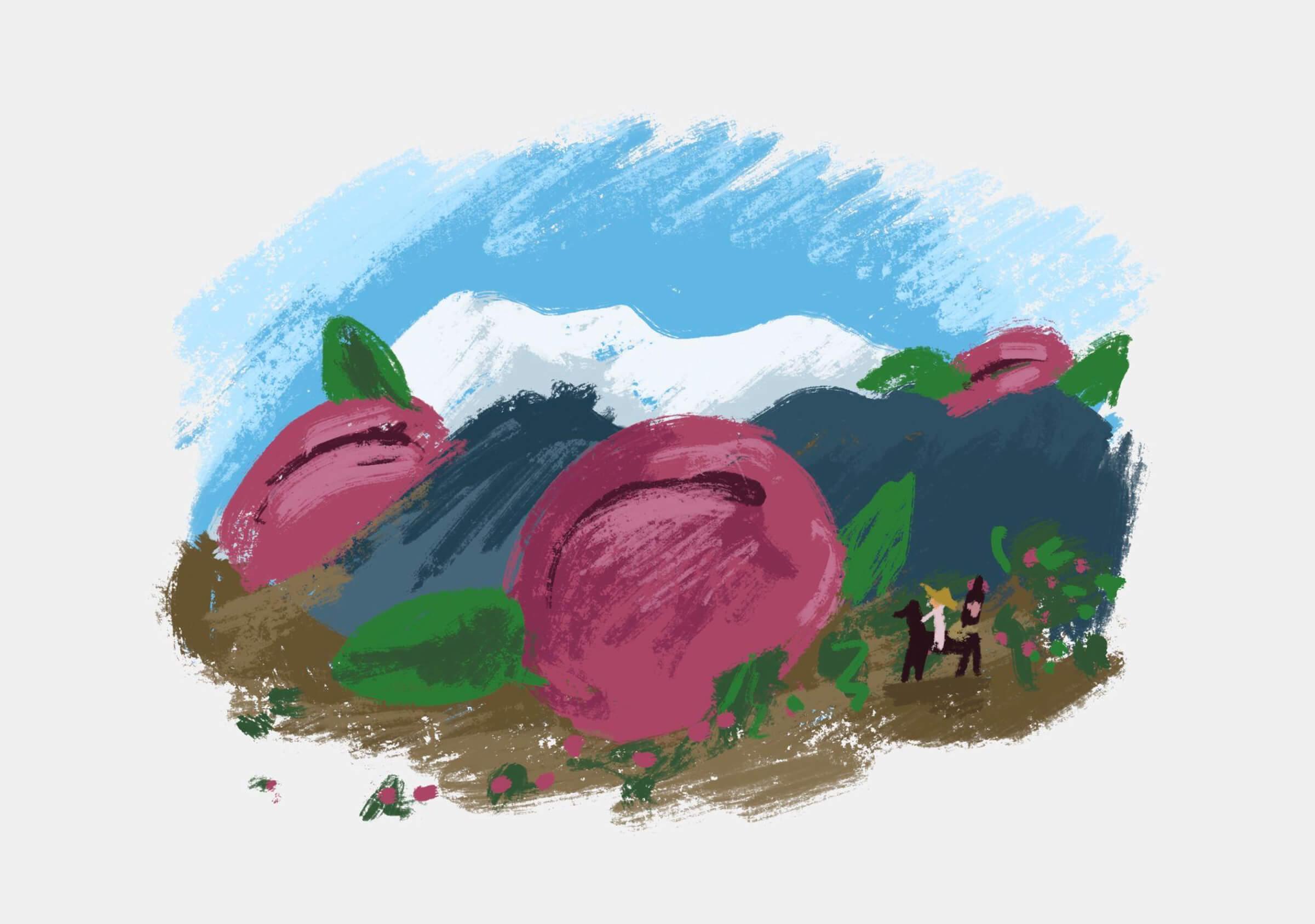 Website-Casa Rosa-concepto visual-Ciruelas del Aconcagua Cerveza Baum