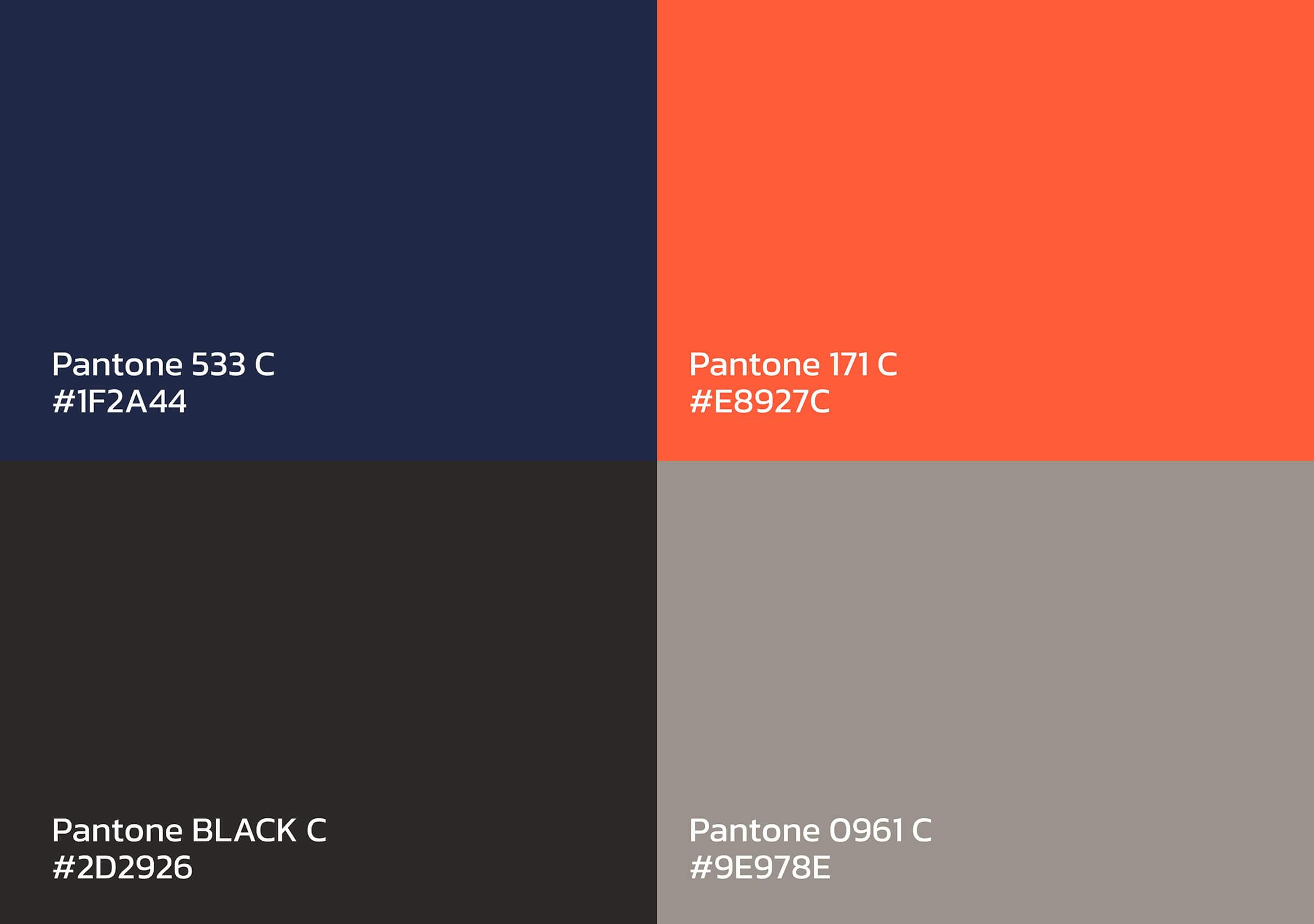 Rebranding-Front-Paleta de Colores Cerveza Baum